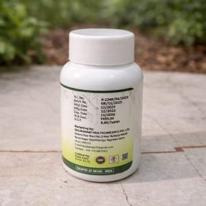 WhatsApp Image 2026-02-05 at 12.41.02 AM (1)