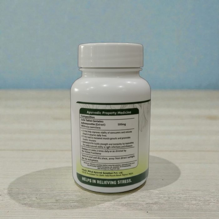 WhatsApp Image 2026-02-05 at 12.41.02 AM (2)